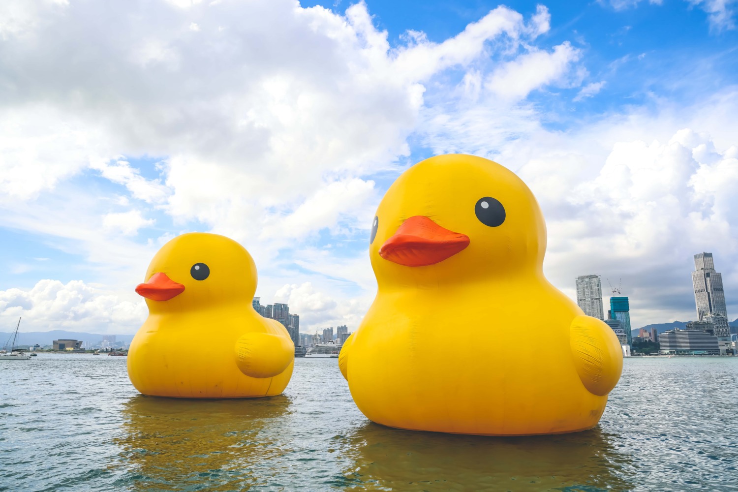 2023年黃色小鴨成雙出現香港維多利亞港。（圖/晶英國際行館提供）