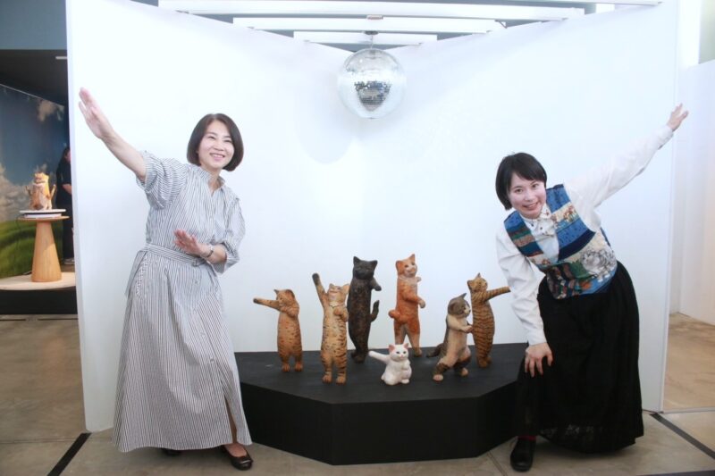 屏東看海美術館  迎來日本最萌貓狗展