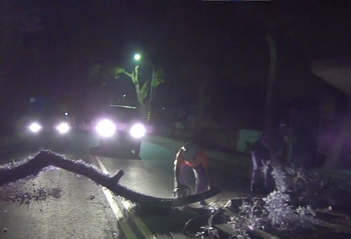 連日大雨路樹倒塌 中興警深夜移除維護交通安全
