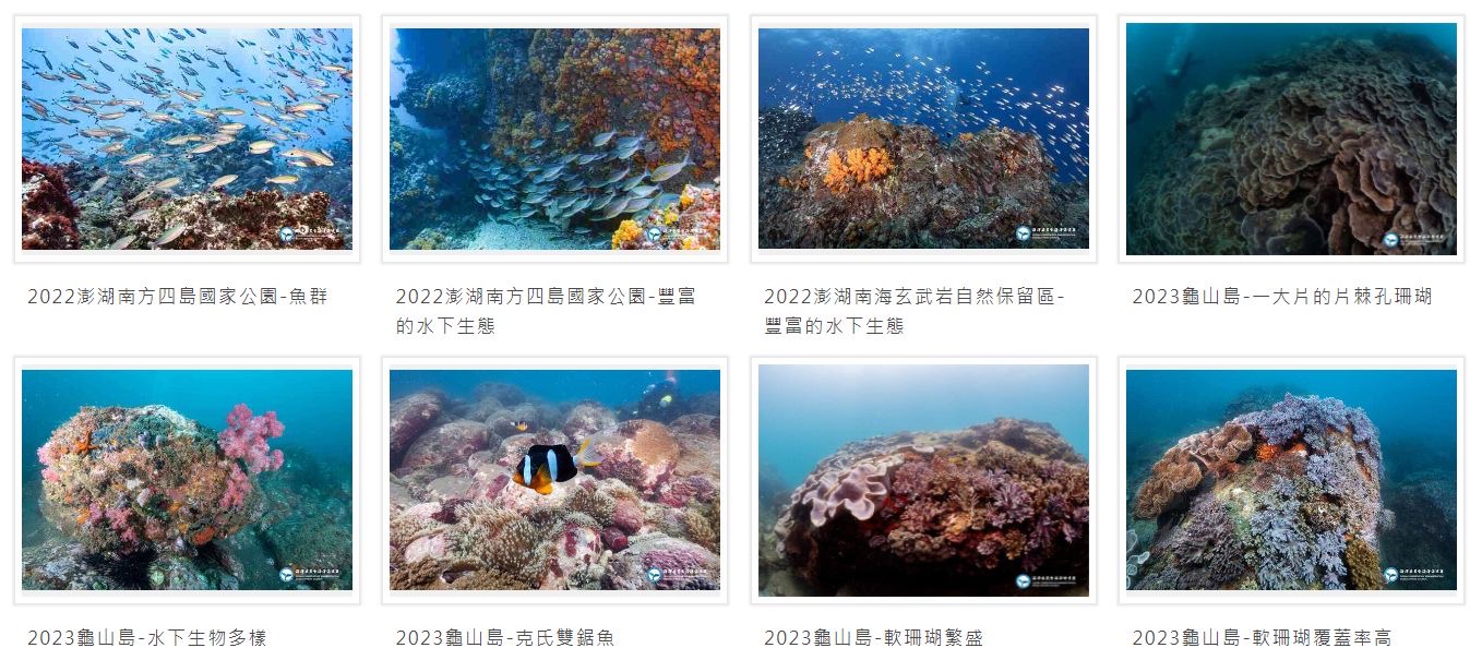 記海洋保育署推出「海洋保育圖庫專區」歡迎探索