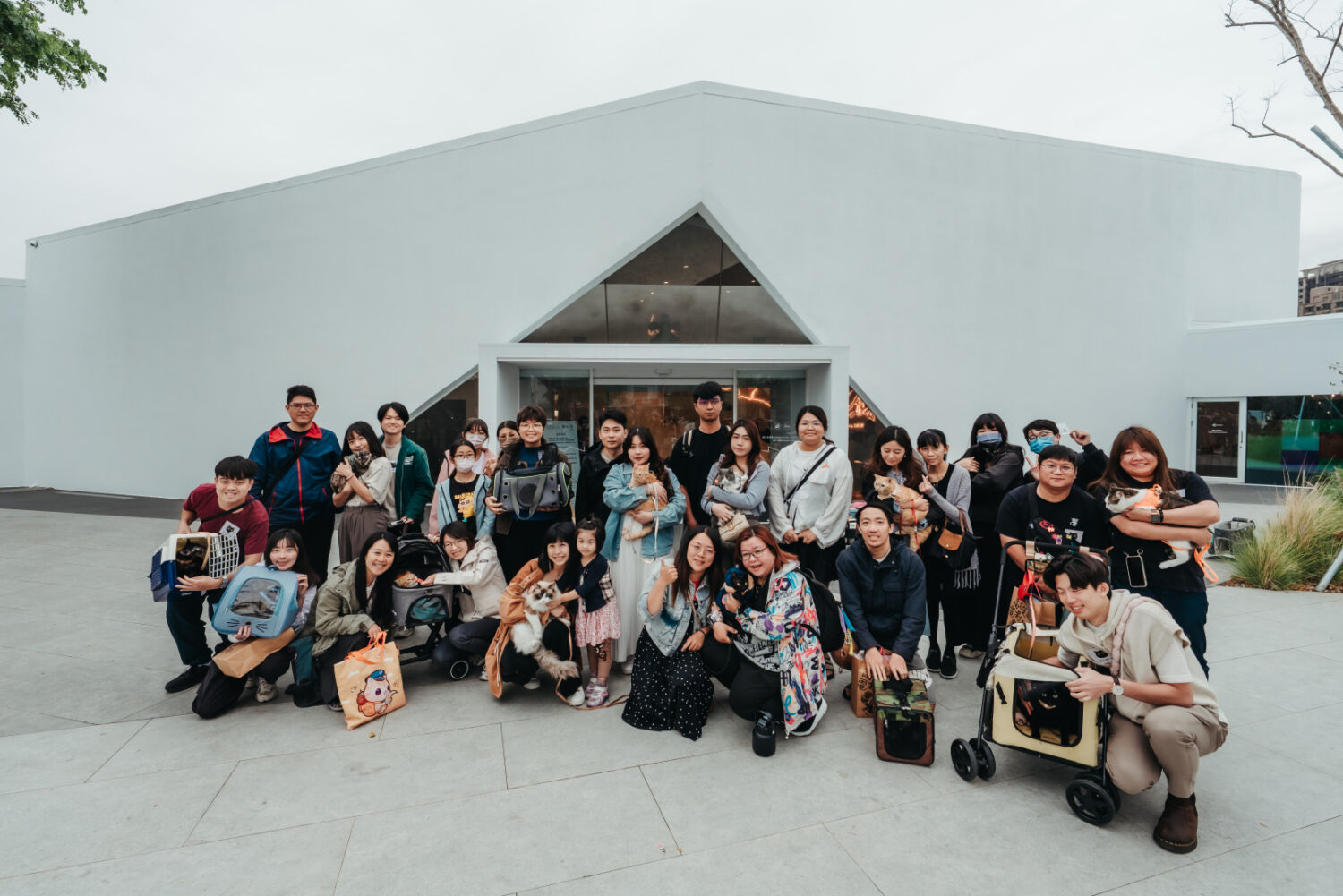 內惟藝術中心《喵的奇幻漂流》貓主限定場 18隻貓主一起入館看展看電影 今傳媒 JNEWS