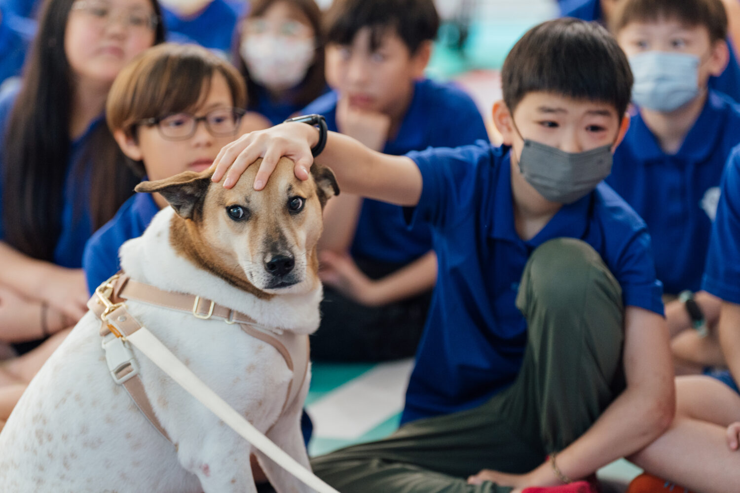 高市圖寵物伴讀×人本交通遊戲坊來囉！ 6/28毛孩家庭交通體驗課趕快報名！