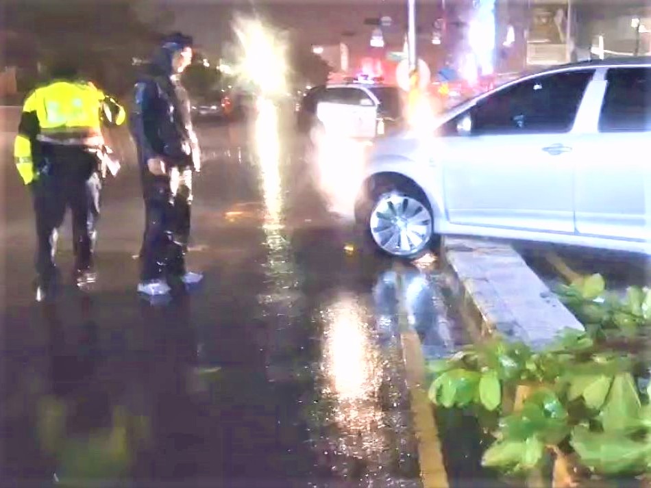 閃避倒榻路樹自撞　興安警即時救援解困