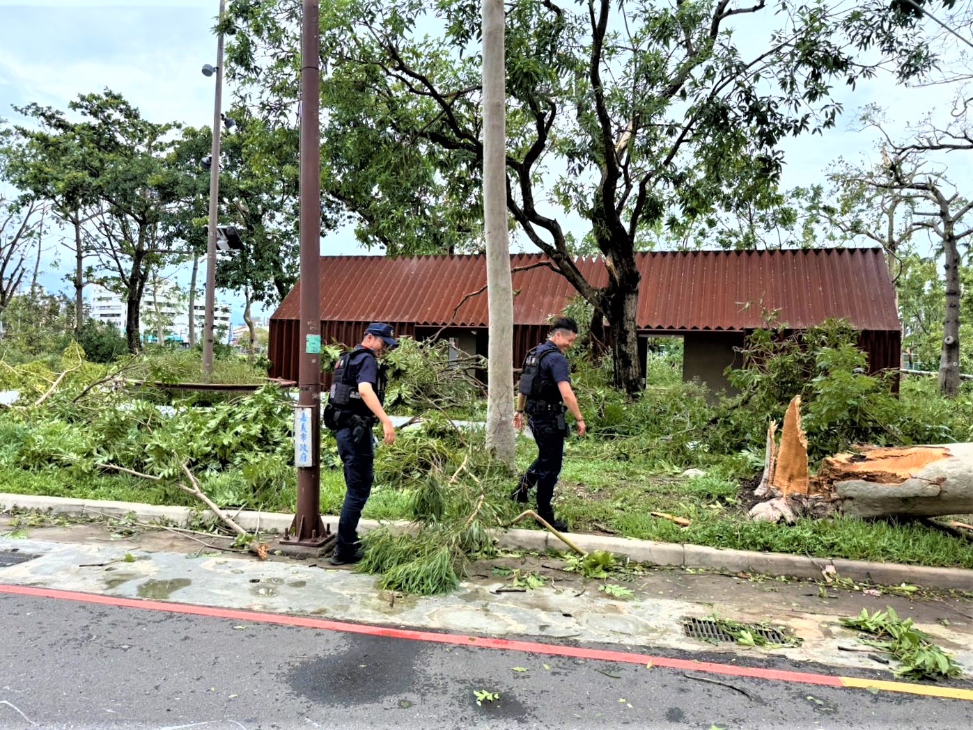 颱風吹襲路樹倒塌　八掌警迅速排除恢復交通順暢