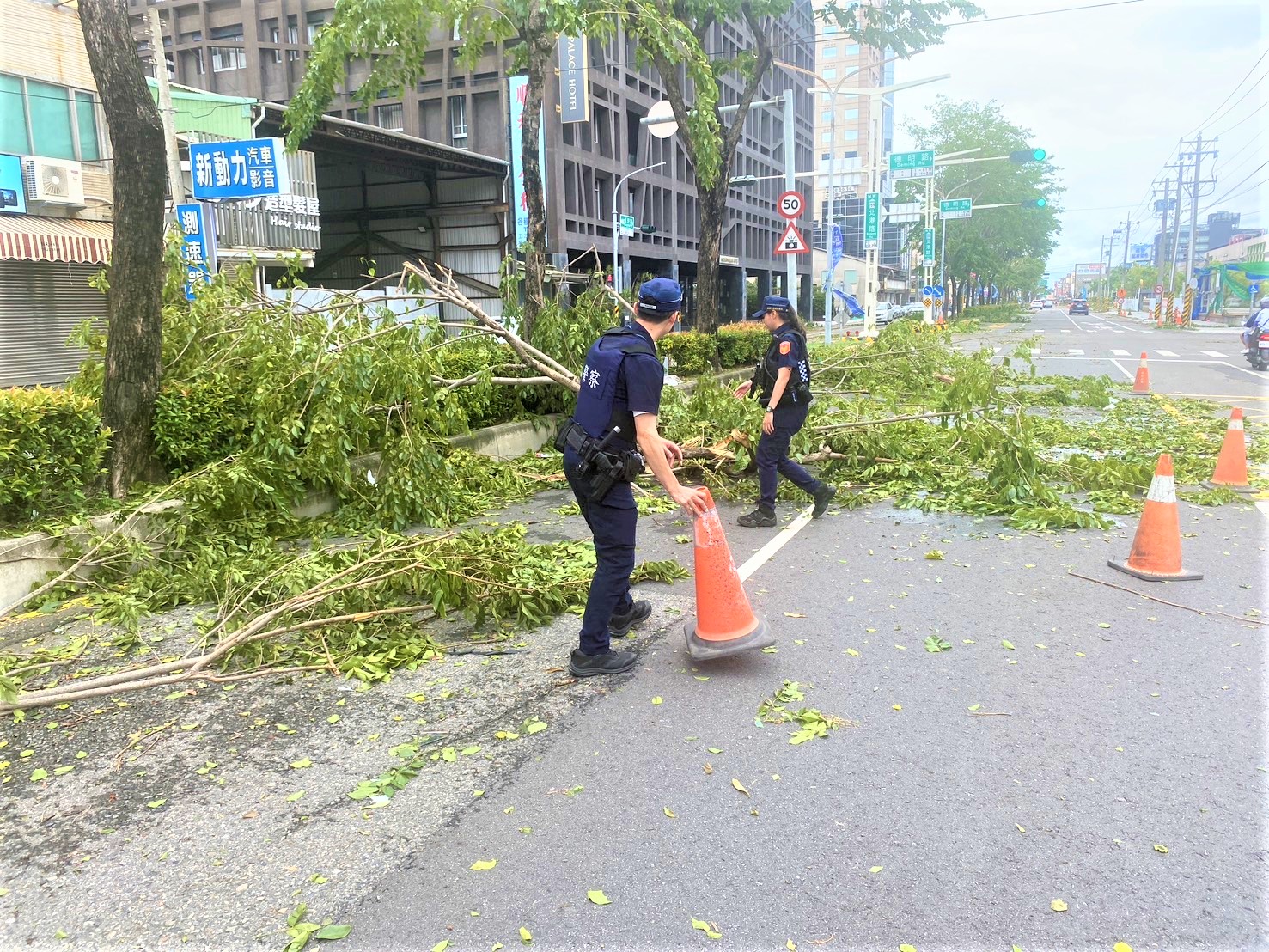 強颱樹倒阻礙交通　北鎮警與民眾合力排除路障