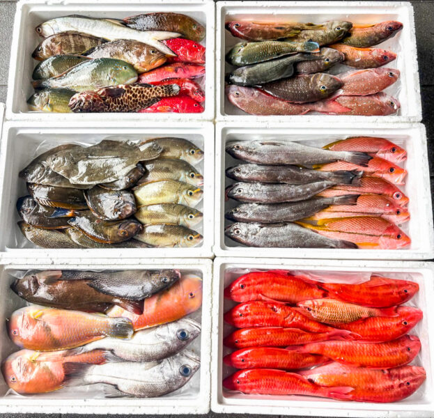 ▲除每日必備的澎湖現流漁貨與鮭魚外，龍昇海鮮亦供應多項特色海鮮。（圖/龍昇海鮮提供）