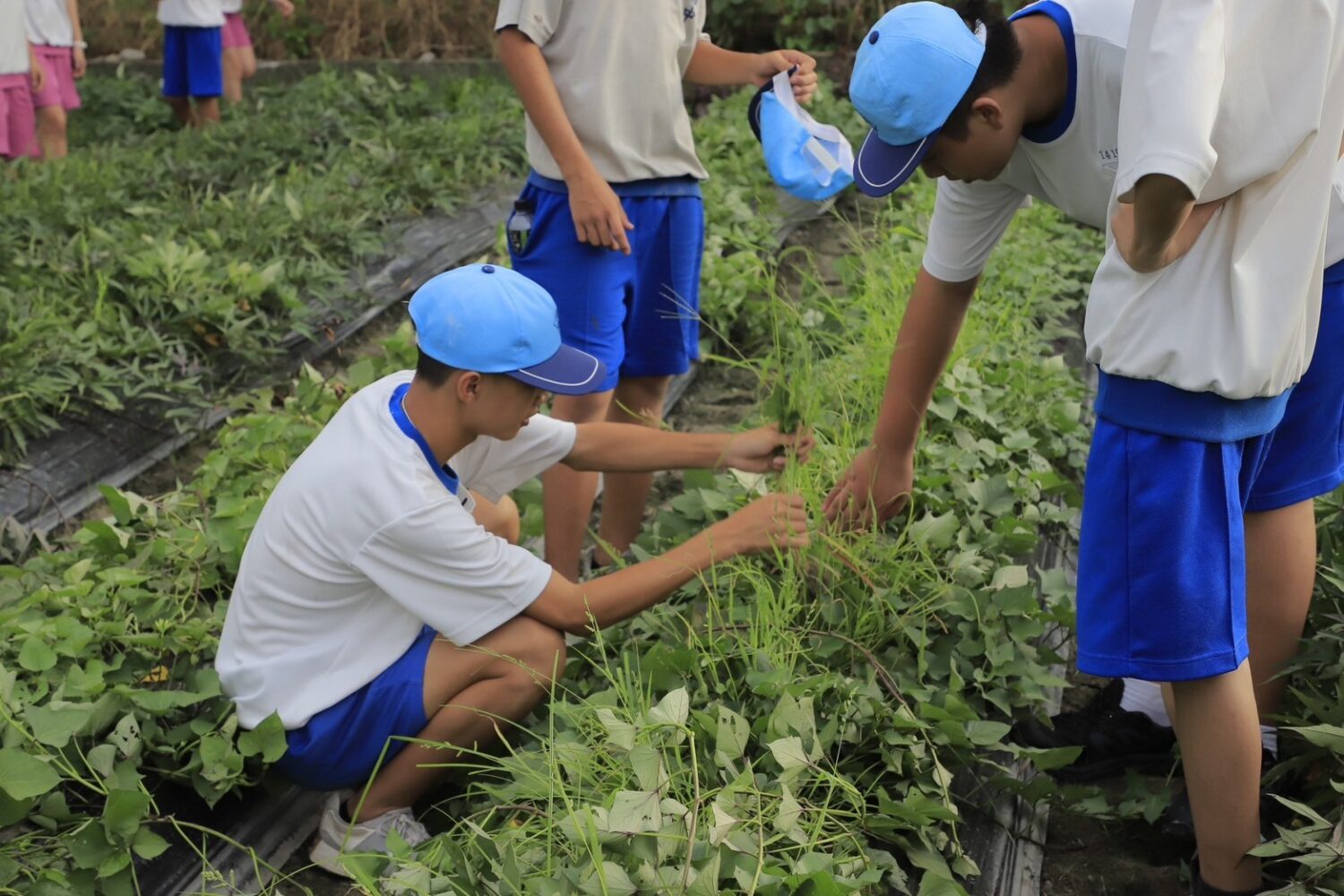高科大前進南隆國中宣導食農教育 農糧署推廣國產雜糧開進南台灣