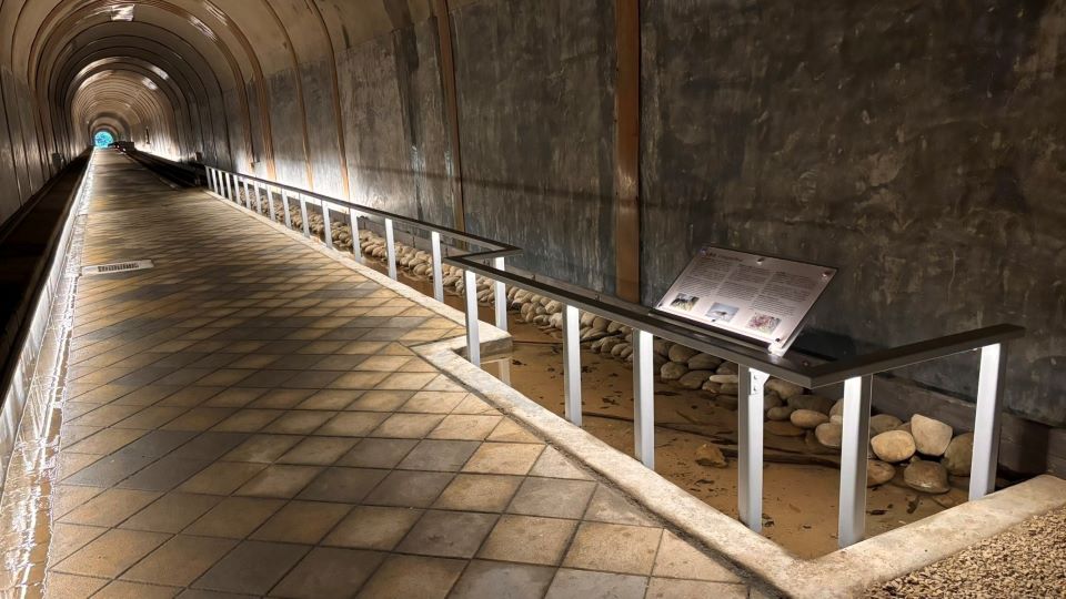 百年隧道改善工程完工　結合生態保育開創北橫新旅線