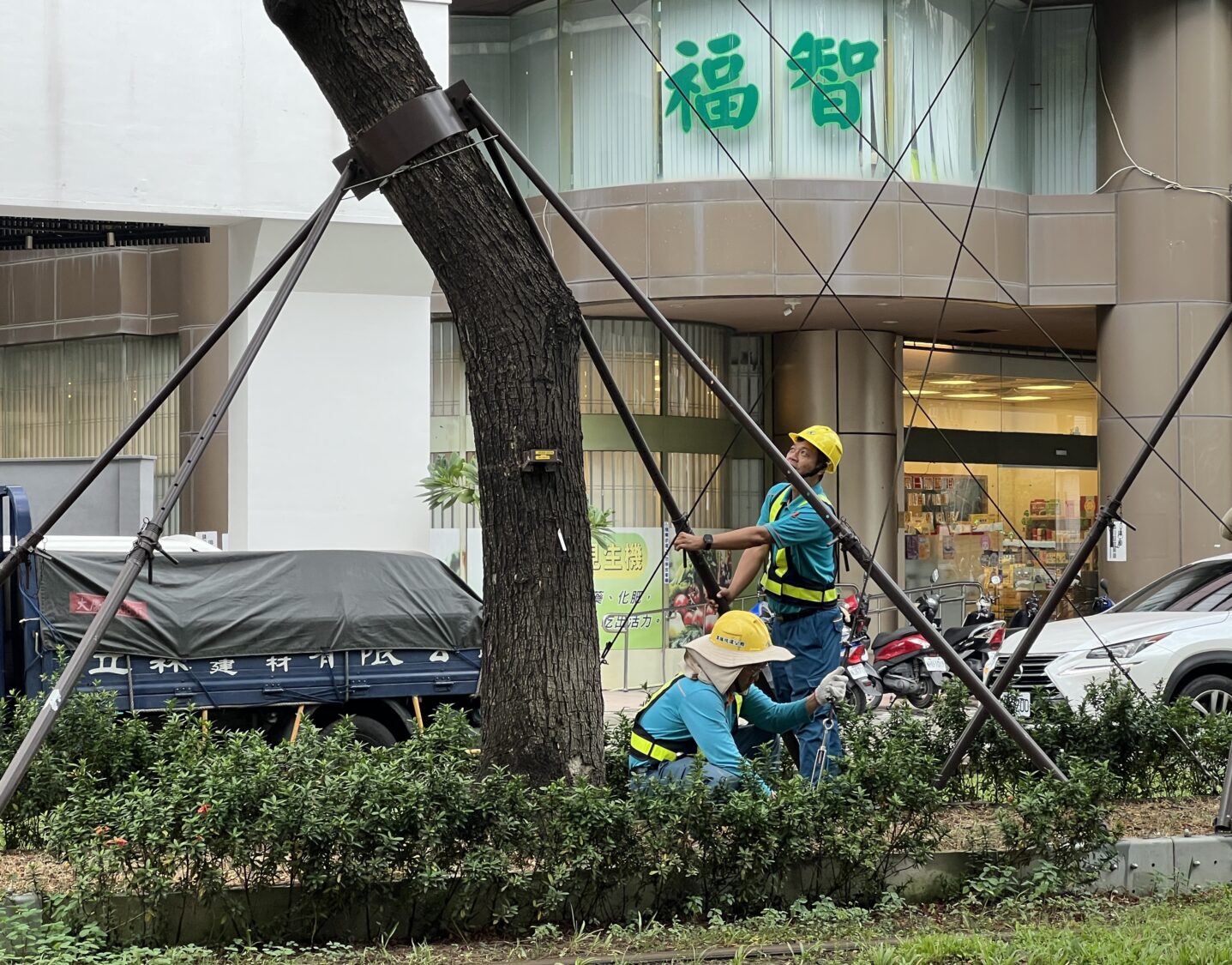 鳳凰颱風未至 應變先行  高市捷運局完成輕軌防颱佈署