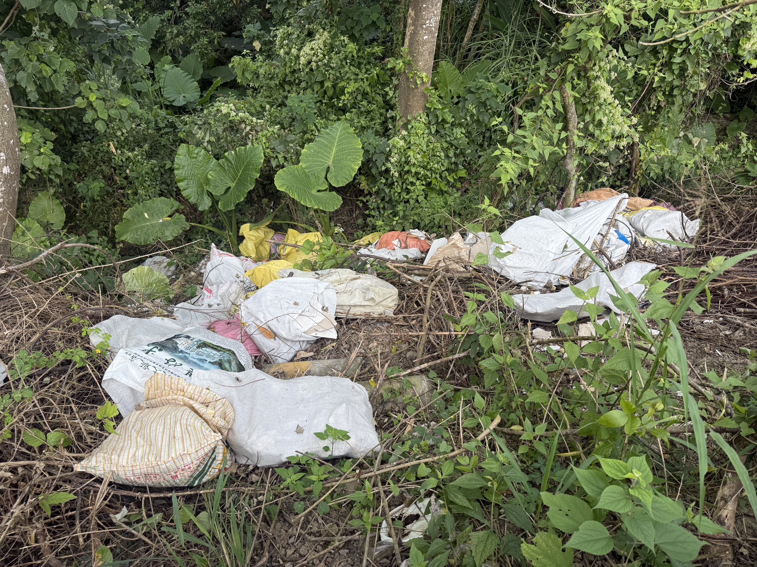 高市環保局漏夜清除復原偷倒點 檢警掌握犯罪集團持續偵辦