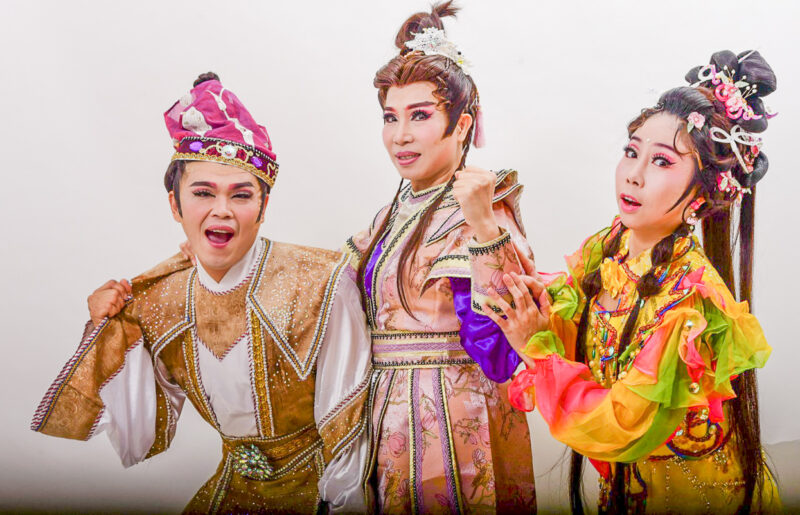 ▲台灣動物緊急救援小組攜手昭錦歌仔戲坊將演出(藝起集愛浪愛無限)。（圖/台灣動物緊急救援小組提供）