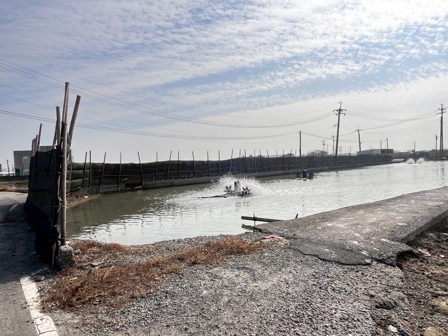 東北季風漸增強，大陸冷氣團接連來襲，高市海洋局提醒養殖朋友們趕緊做好防寒準備