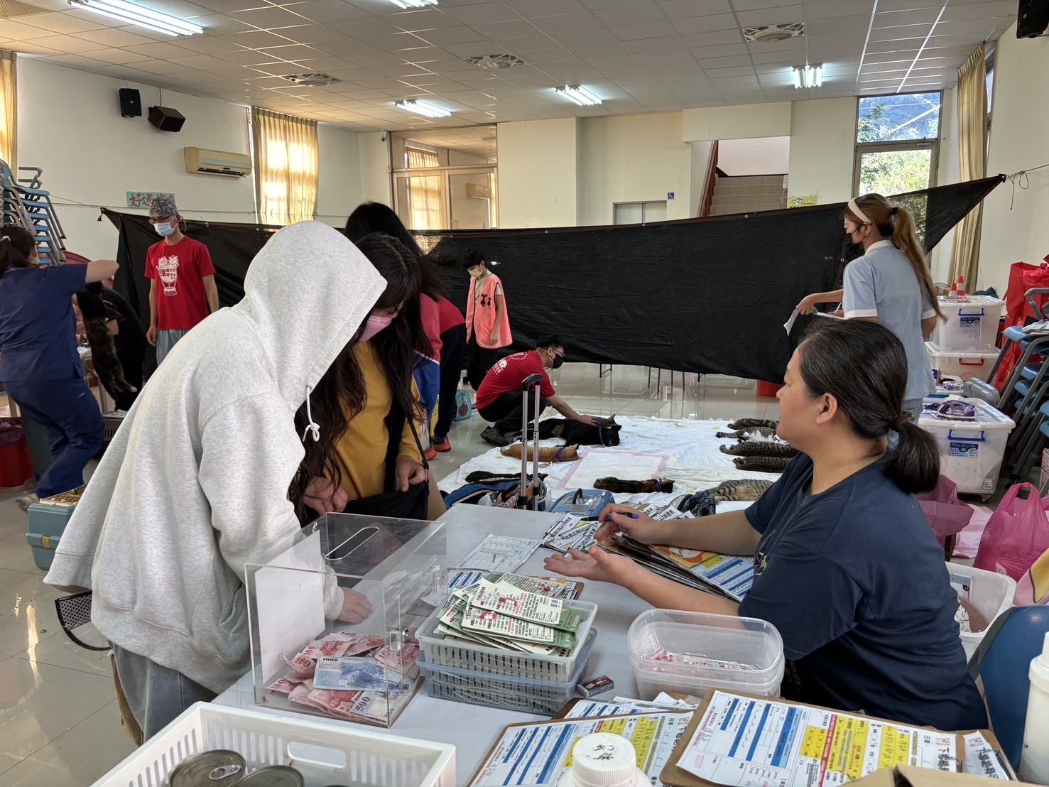 公私協力守護偏鄉毛孩！台中偏區犬貓絕育48場次圓滿落幕、2,928隻受惠