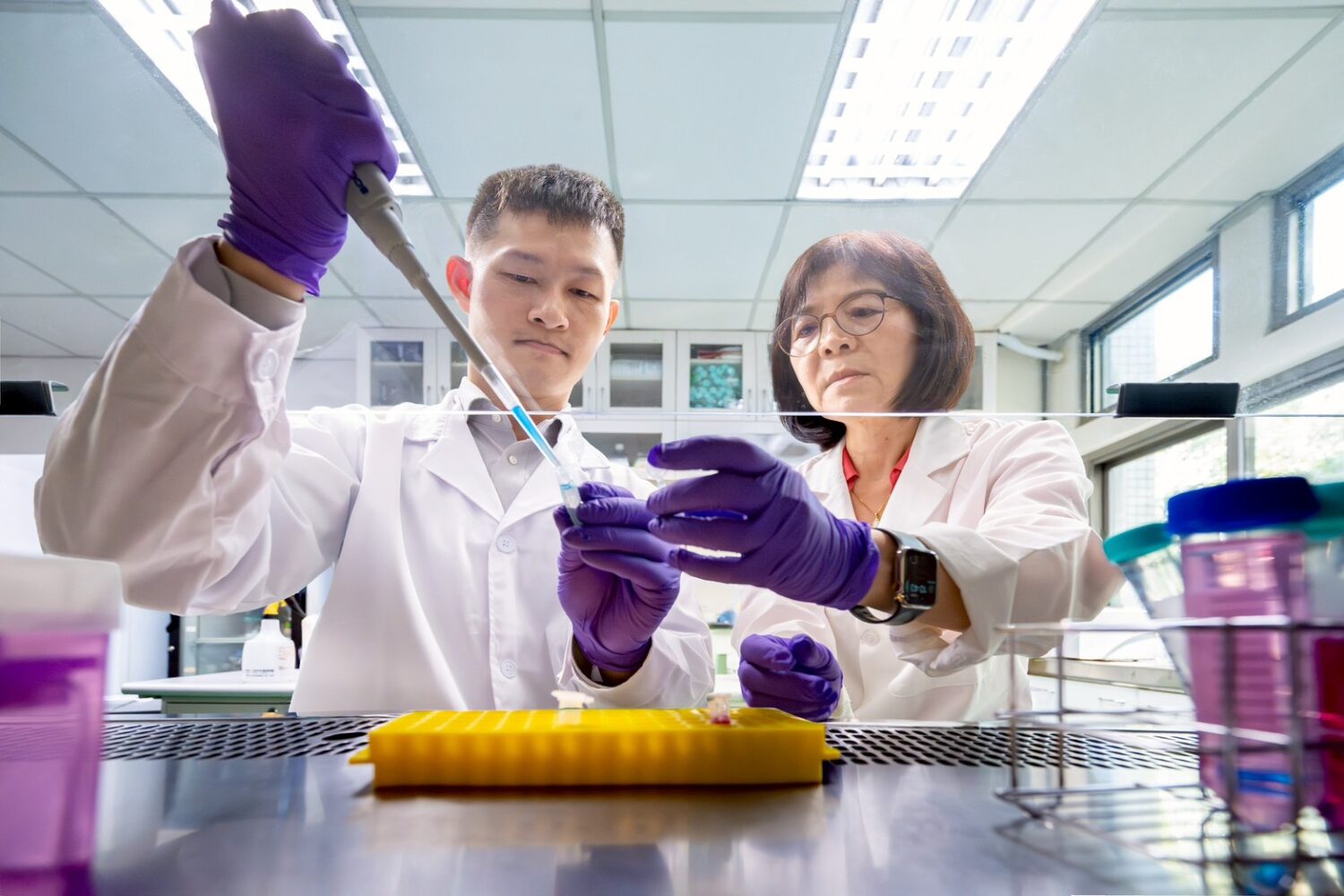 清華研究破解癌細胞弱點 雙重打擊誘發「鐵死亡」