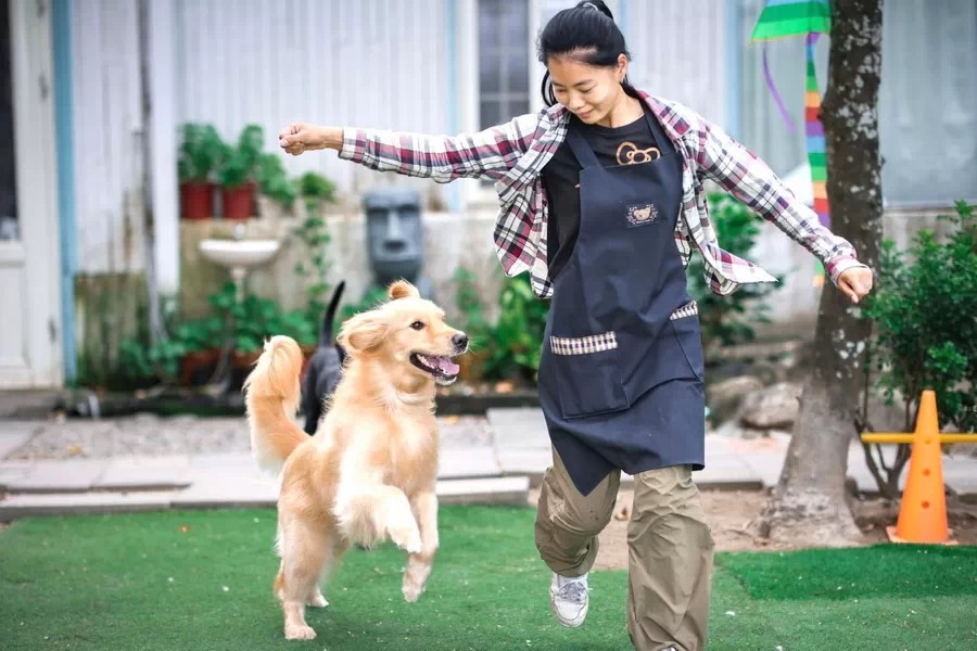 5家特寵業者入圍毛星級大賞 棉花糖寵物旅館榮獲全台十大殊榮 高雄動保處輔導成果亮眼
