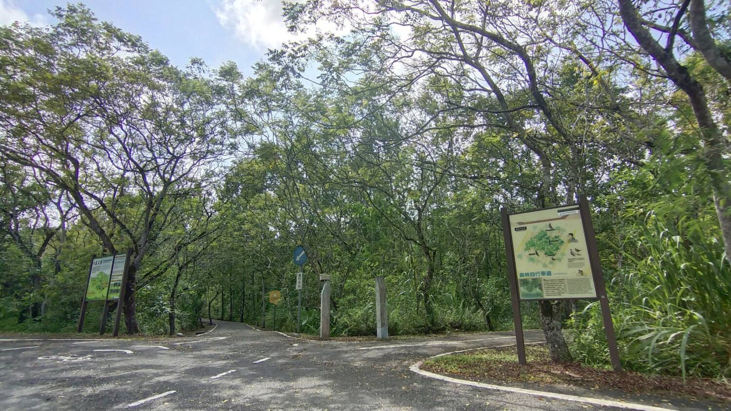 台糖攻淨零排放  碳捕捉技術、森林碳匯雙管齊下拚2050目標