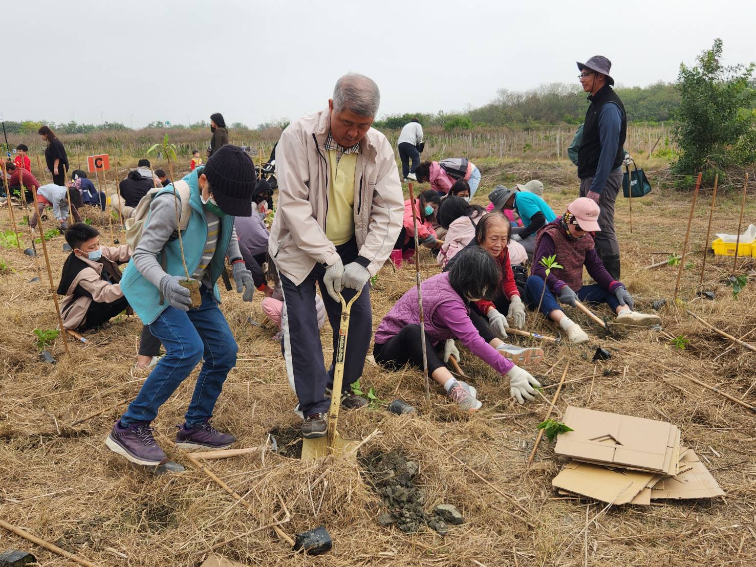 公私齊力推動茄萣濱海造林有成 高雄生態復育展新機
