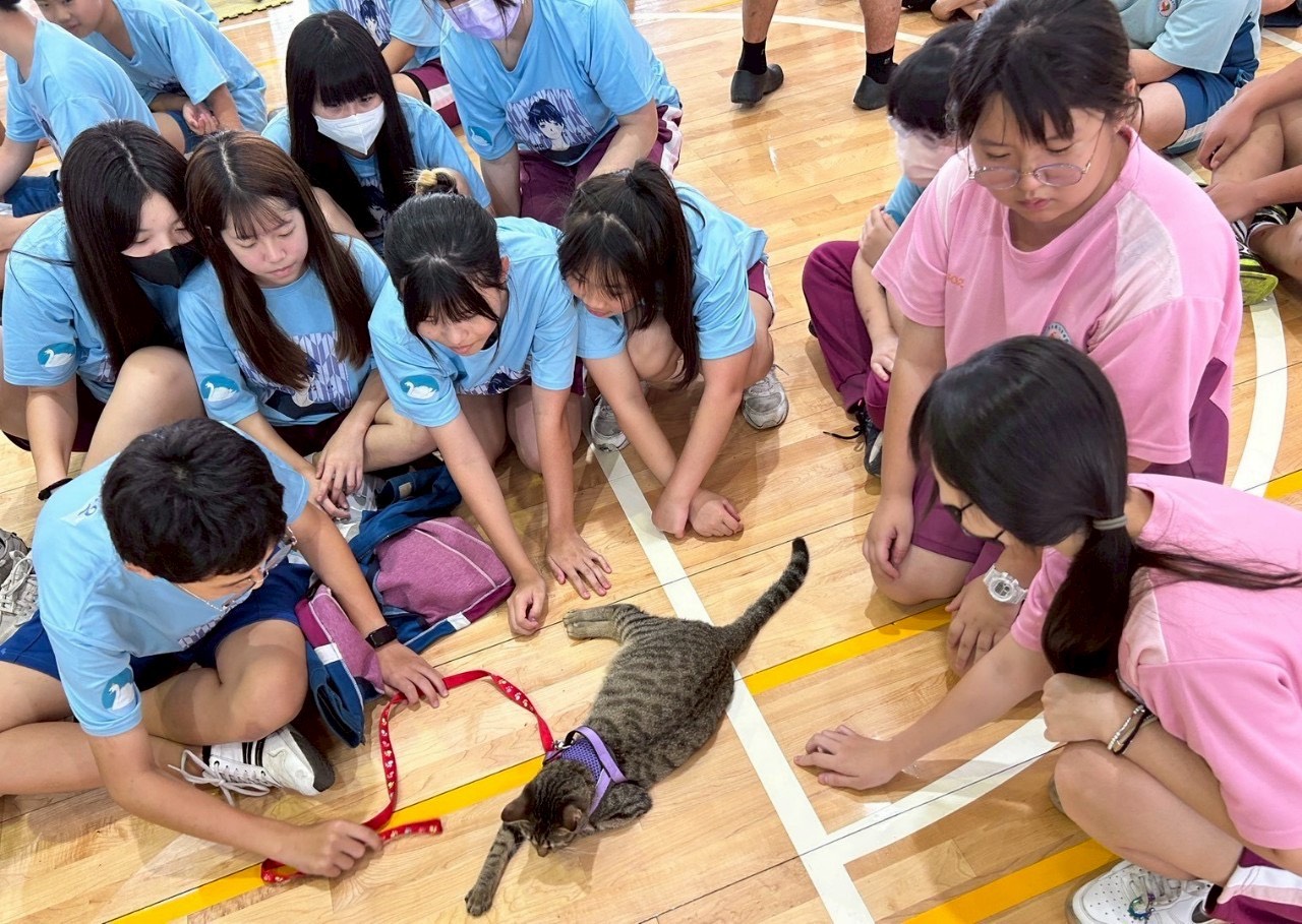 屏縣府農業處推動保生命教育　陪伴犬貓走入校園