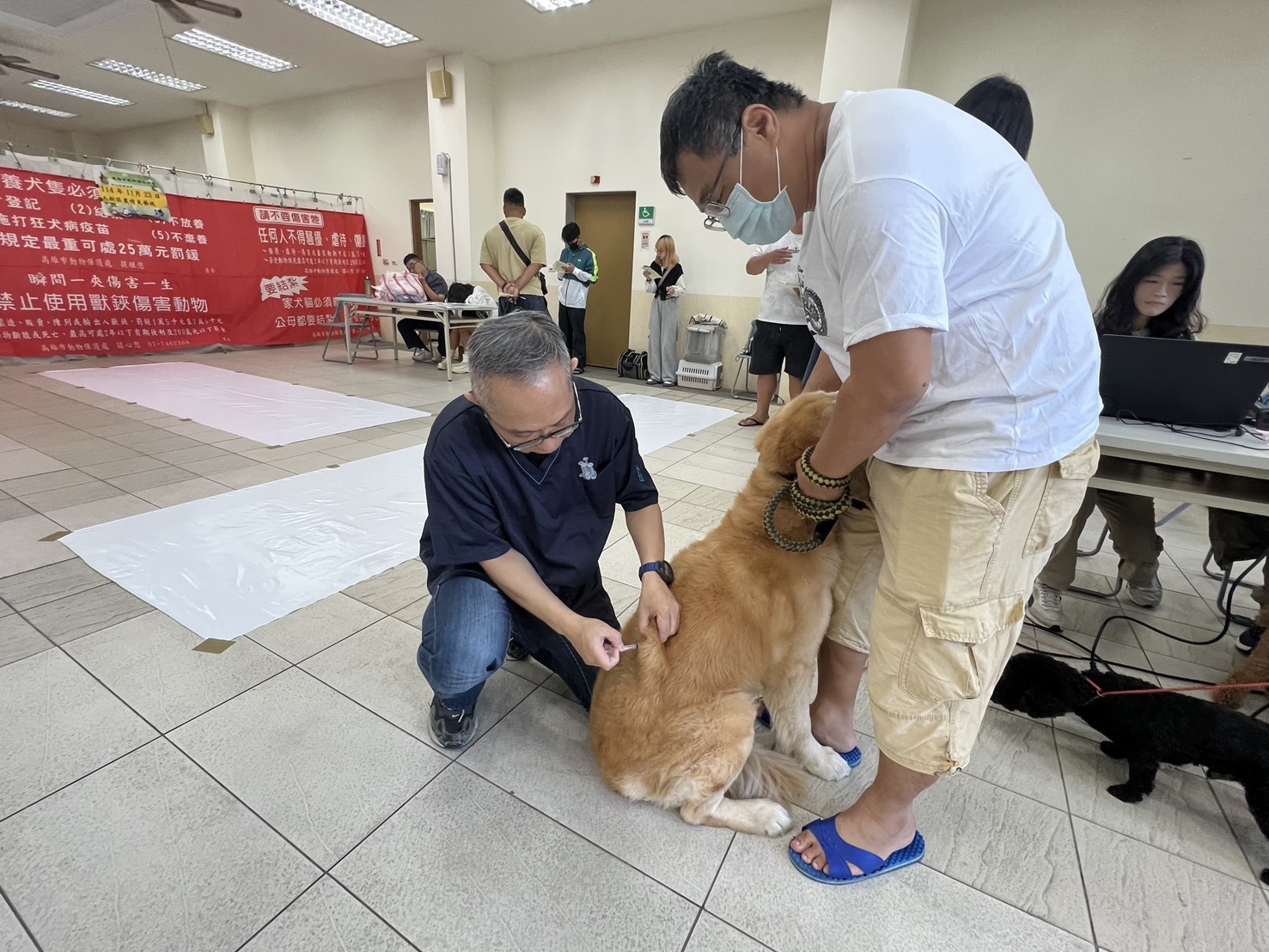 深化治理量能 邁向友善動物城市目標 高雄市榮獲全國動物保護評鑑優等