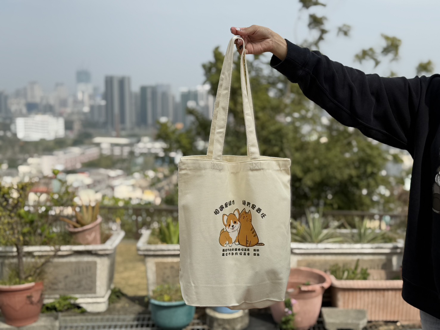 浪浪腳印變身「梅花圖」萌翻全場 壽山收容所「毛星人」揮毫迎新春！