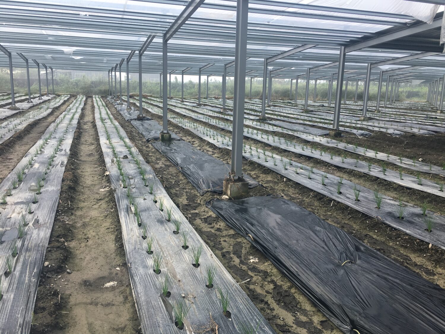 屏縣府提醒農、牧、漁民做好防寒措施及後續災情通報