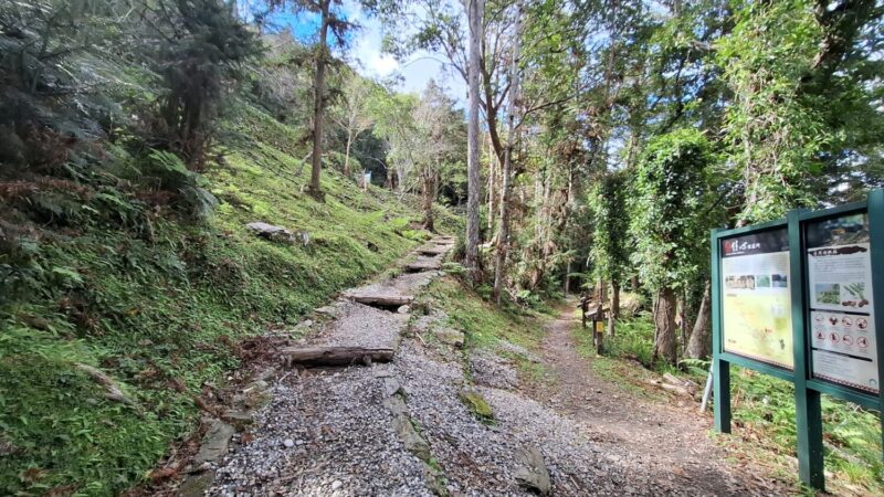 玉山東部園區  碳足瓦拉米步道字跡尋寶活動