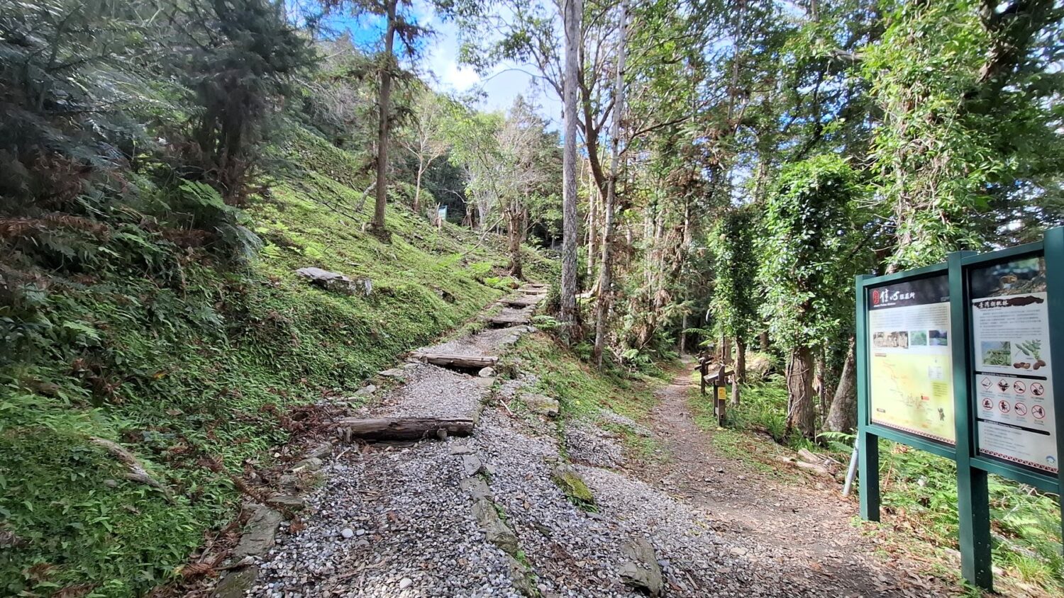 玉山東部園區  碳足瓦拉米步道字跡尋寶活動