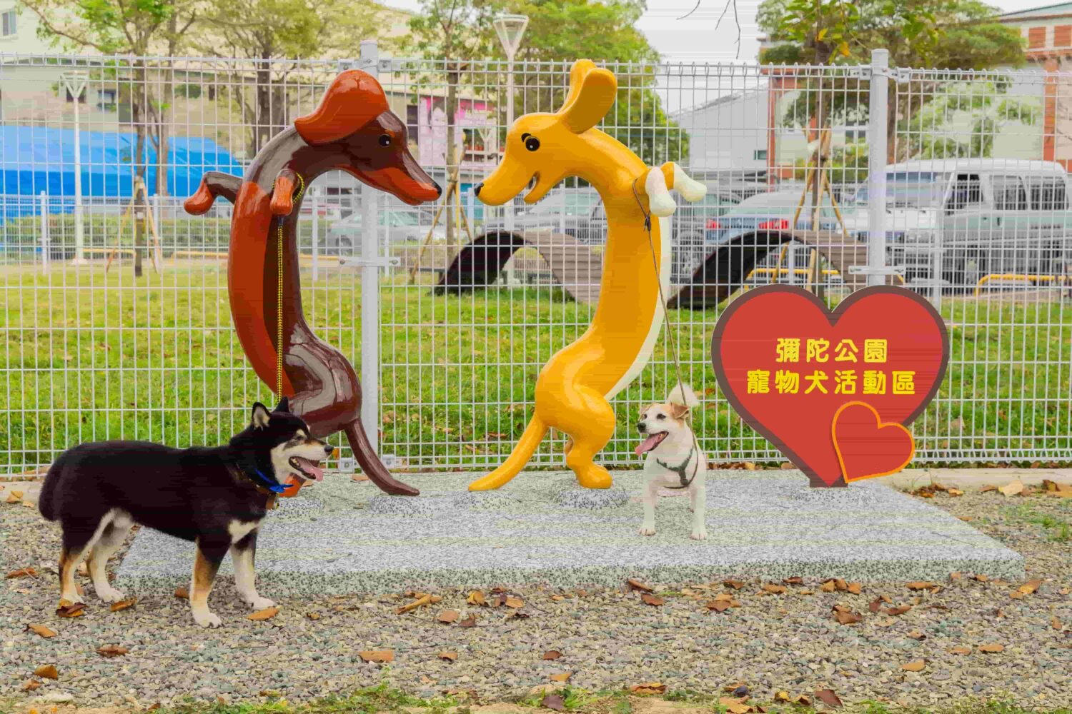 高雄「狗狗小花」盛開中！11處公園寵物犬活動區啟用再增3處