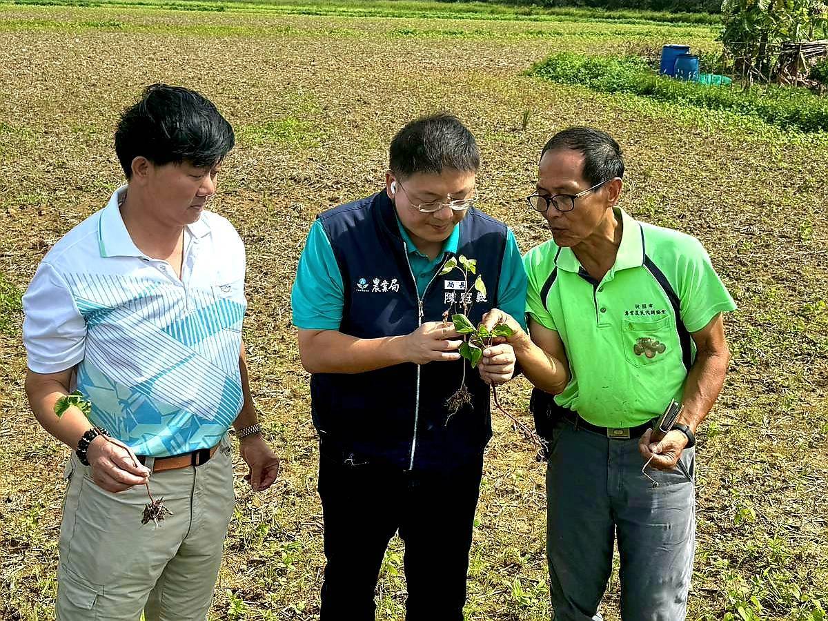 「農糧產業調整與轉型計畫」 桃市加碼補助最高4.5萬獎勵金 「農糧產業調整與轉型計畫」 桃市加碼補助最高4.5萬獎勵金