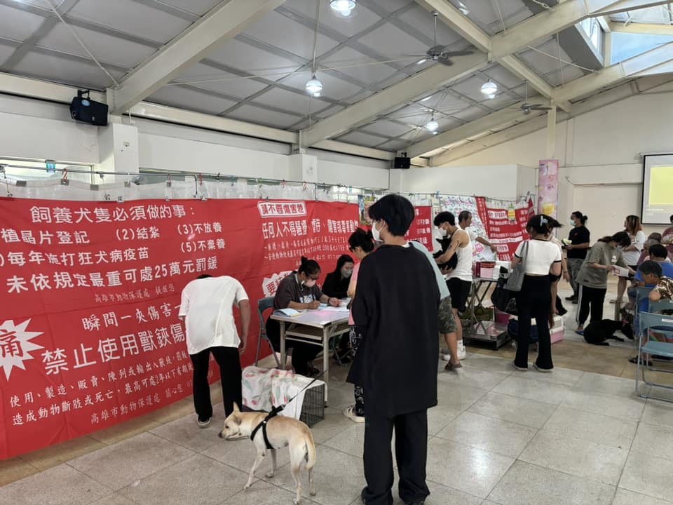 2026高市犬貓絕育雙軌開跑！巡迴活動首場2/8前進阿蓮 市民犬貓絕育補助趕快申請