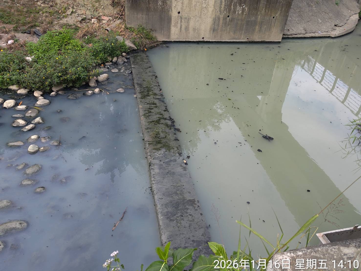 高雄檨仔林埤濕地公園污水溢流 水利局16日已清理截流進流口阻塞物恢復截流功能