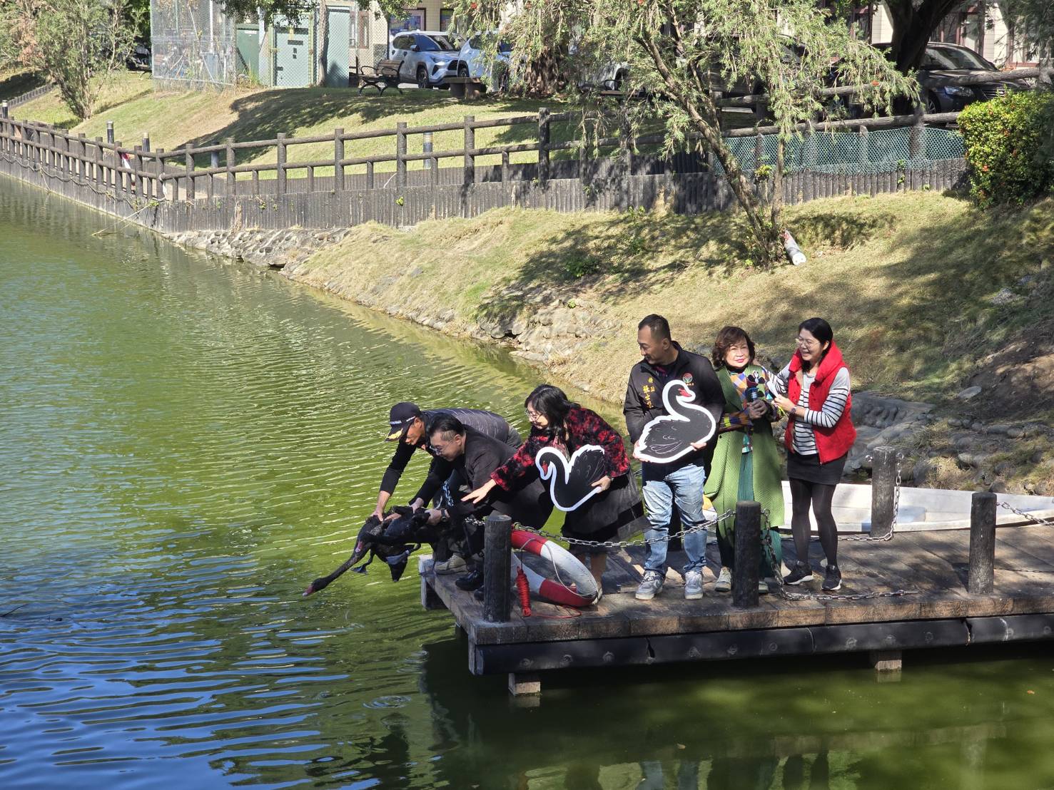 輔英科大喜迎黑天鵝與迷你馬共築永續校園 生態共融再添亮點