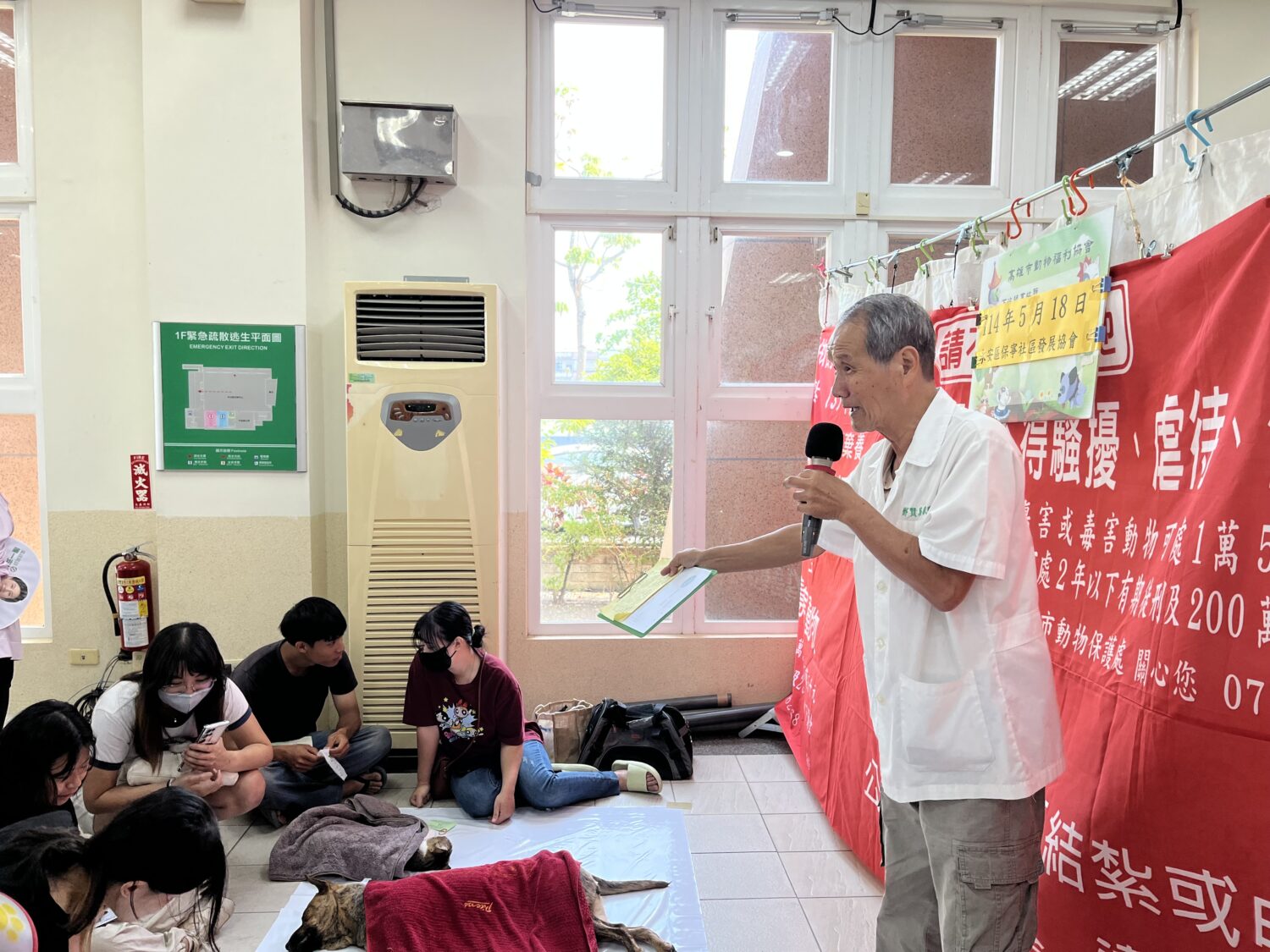 守護你家的毛寶貝!高雄市家犬貓絕育補助創近3年新高