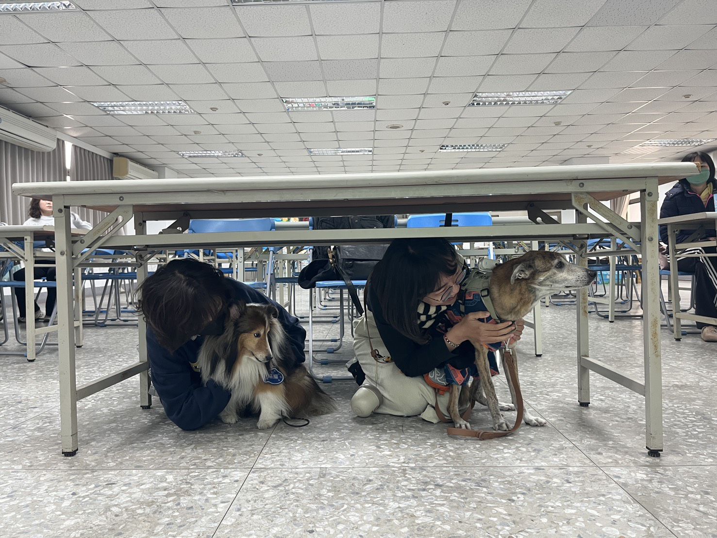 高市動保處「好伴講座」馬年首場  特邀「常救援到動物」的消防員開講  現場模擬濃煙屋體驗人寵逃生實況