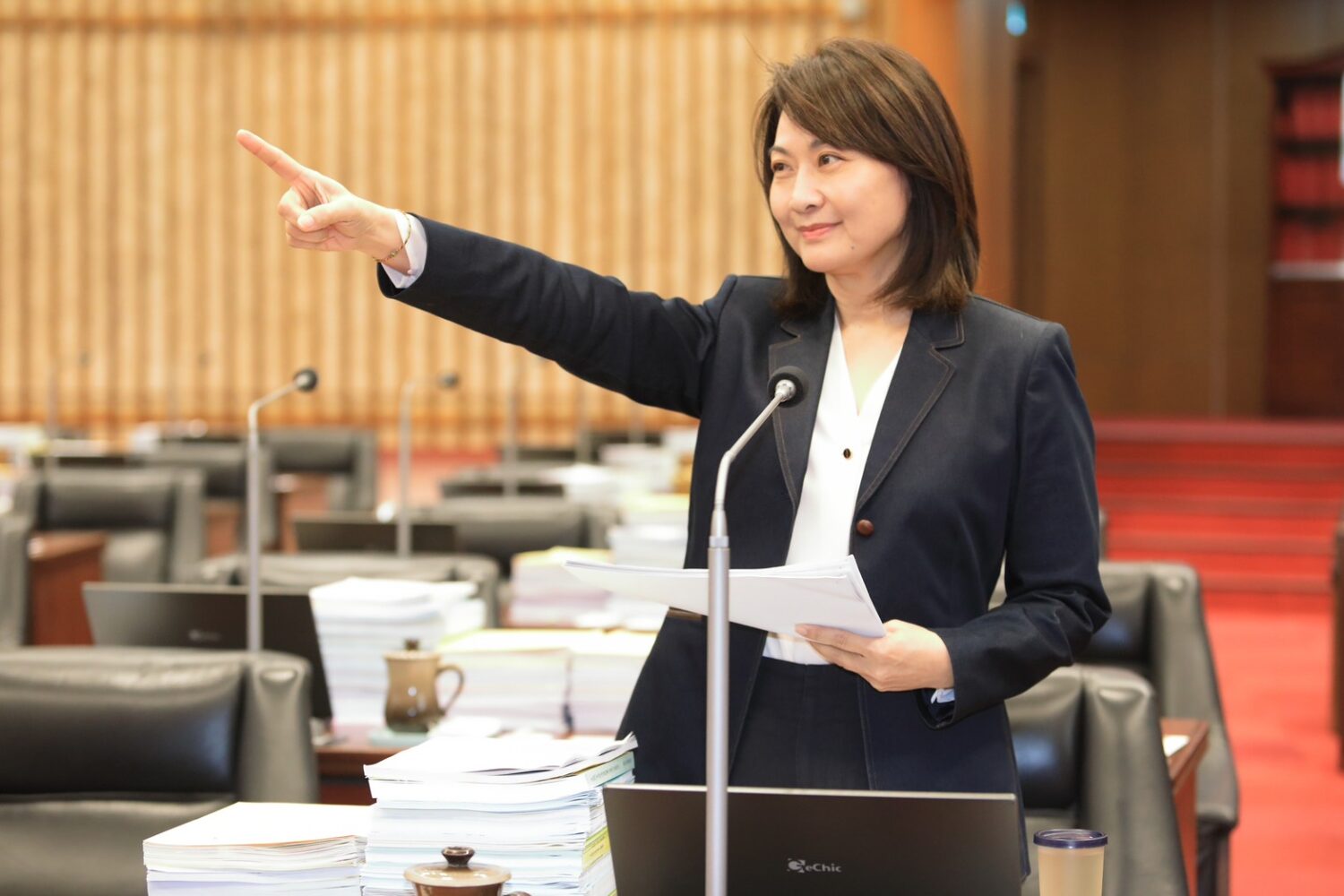 高雄市議員陳麗娜:新潮流復辟是高雄的危機!