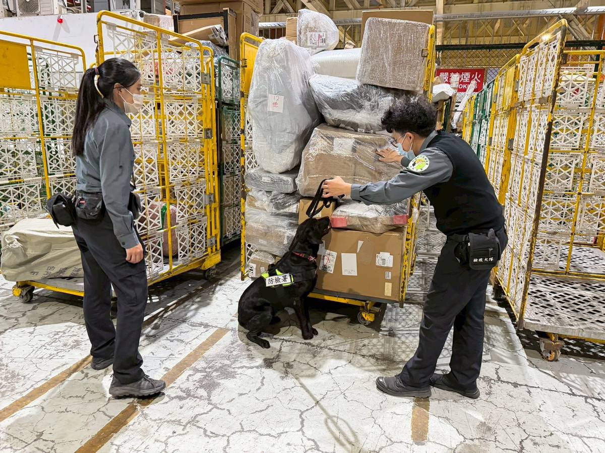 高雄關聯手防檢署高雄分署加強查核海運快遞貨物，強化邊境防疫