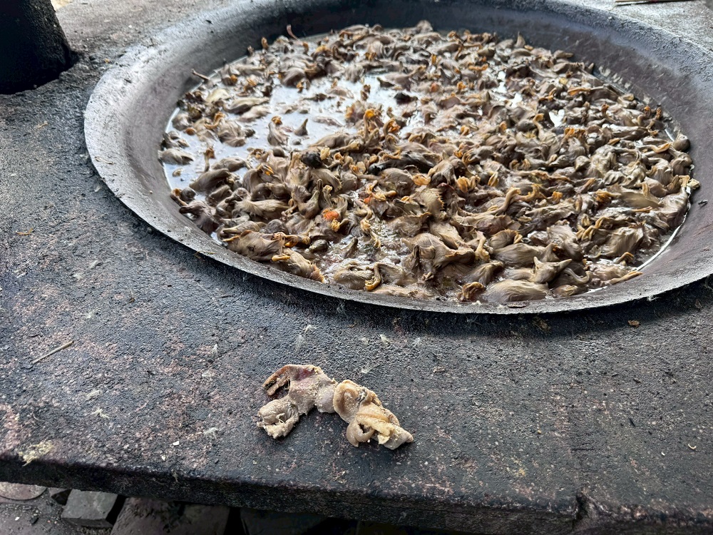 228連假高雄港7號碼頭運動體驗派對　運發局邀親子闖關打怪嗨玩三天