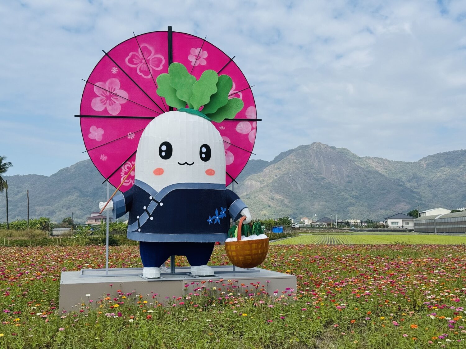 高雄美濃花海走春必拍！ 客庄美食、音樂、輕旅行一次滿足