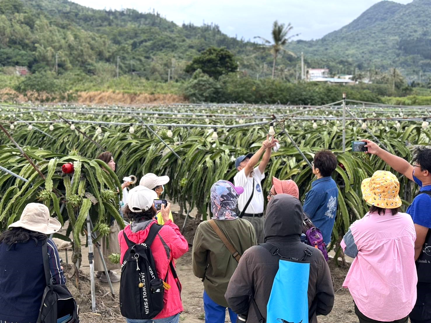 「暗天不暗地」打造夜間環境新樣貌 從果園到星空！屏東暗空友善燈具改善