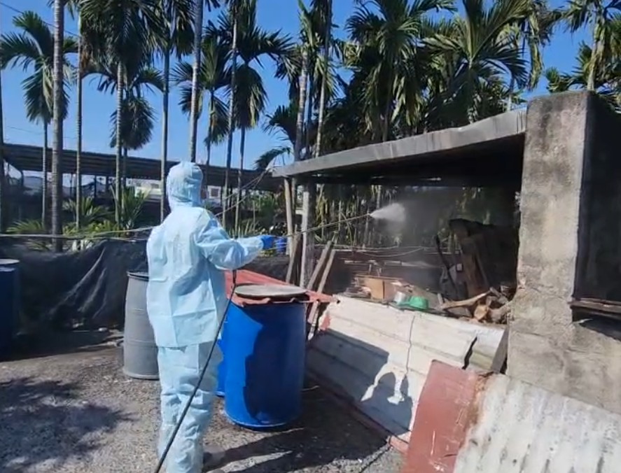 屏縣府查獲第6起豬場餵飼廚餘 重罰40萬