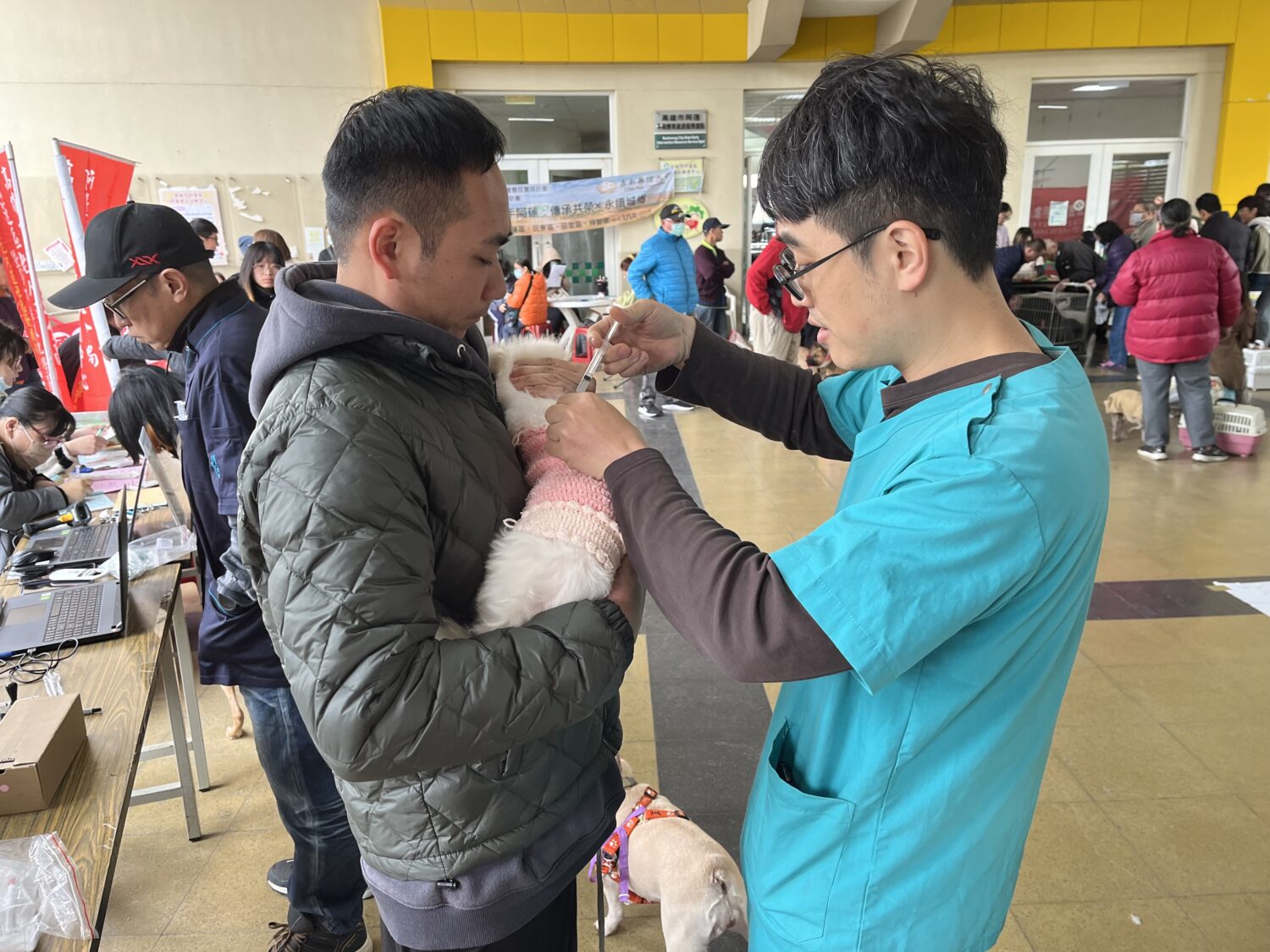 高雄開春首場！犬貓巡迴絕育前進阿蓮 毛孩也有健康紅包  汪福喵順過好年！