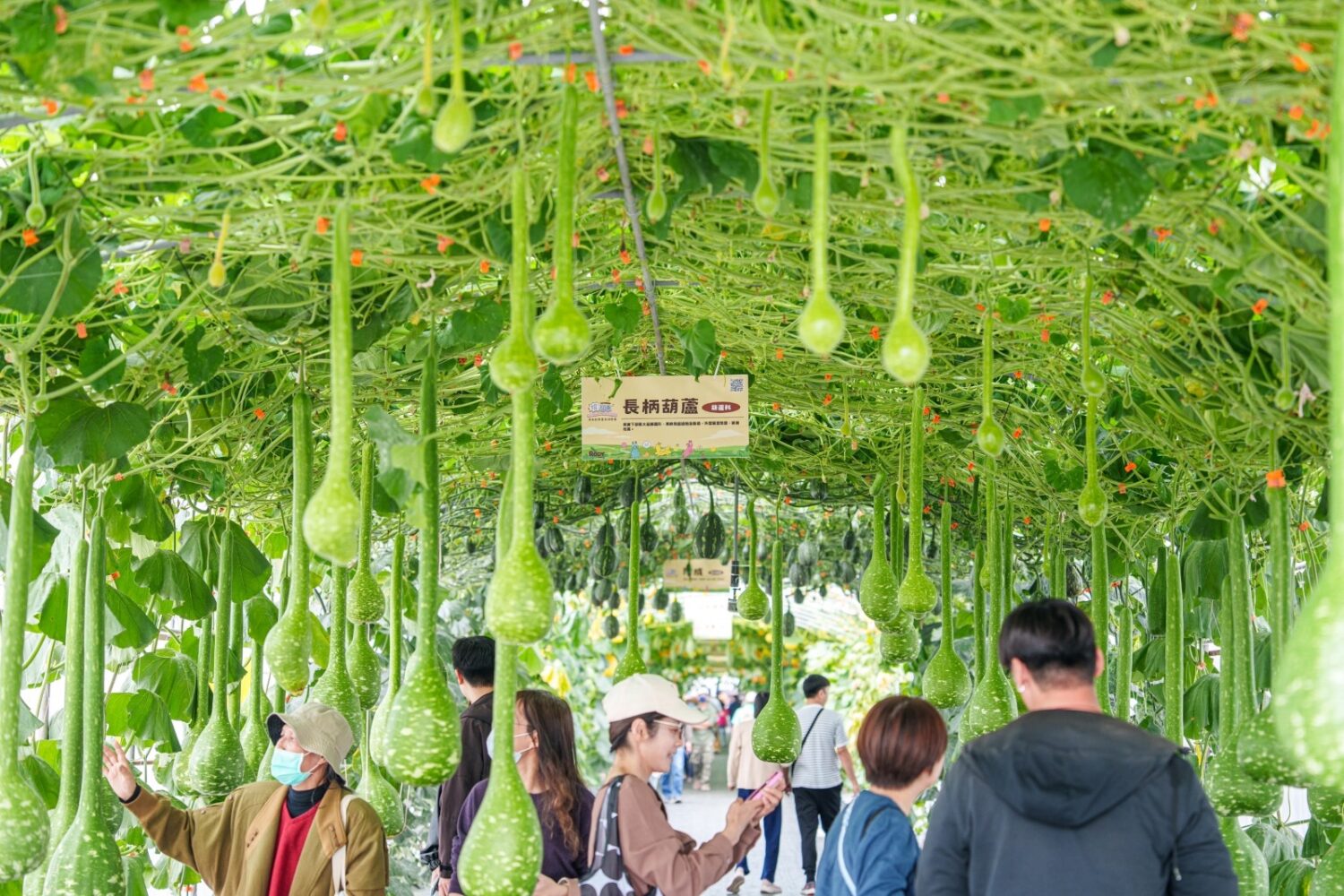 屏東有春好過年！縣府交旅處推一至三日遊程「神馬都好玩」