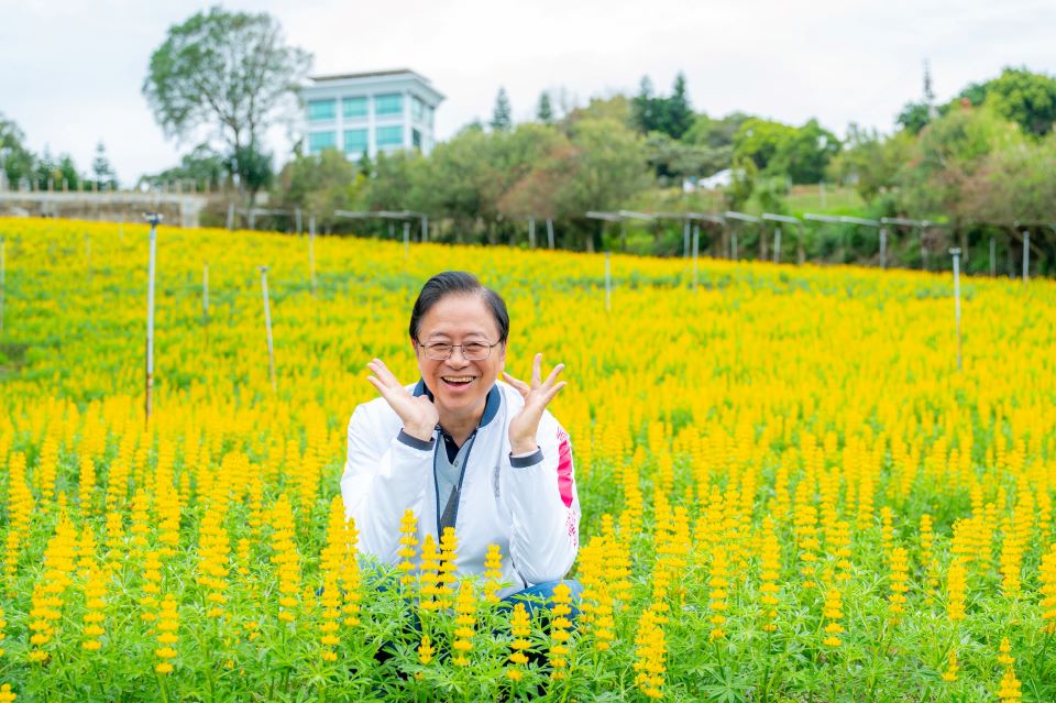 魯冰花季盛大開幕　張善政邀請國人來龍潭賞花
