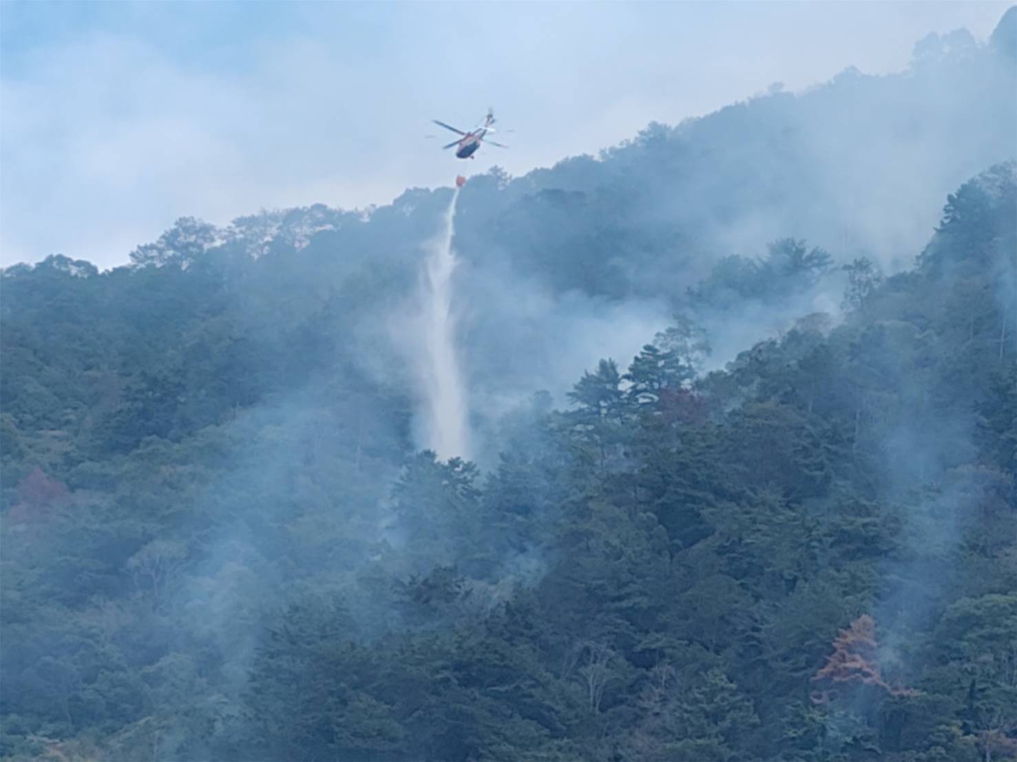 南投埔里森林大火強風復燃  燒毀40公頃林地