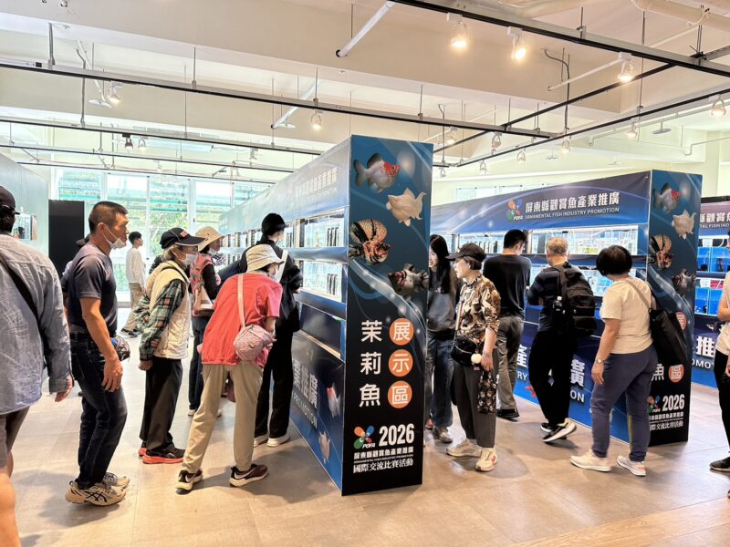 2026孔雀魚世界盃2月底屏東農業物產館繽紛競艷