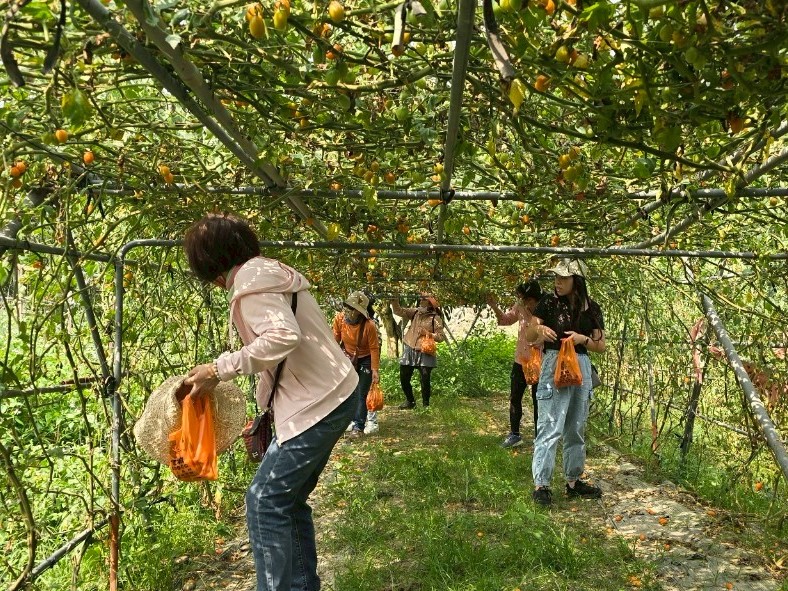 2026螢光花泉季開跑！黃偉哲邀您漫遊楠西山林賞花泡湯