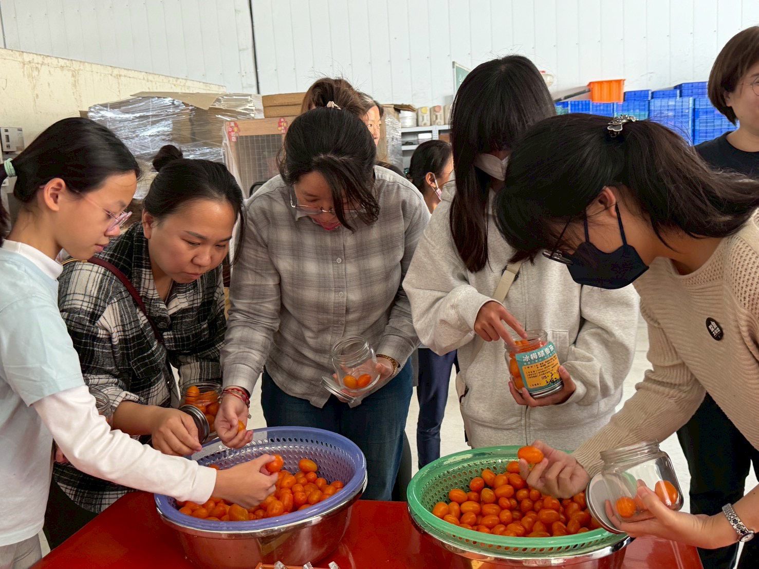 一顆番茄的三年風味革命！ 美濃又生農場「32種番茄開箱日」限定體驗活動開放報名中