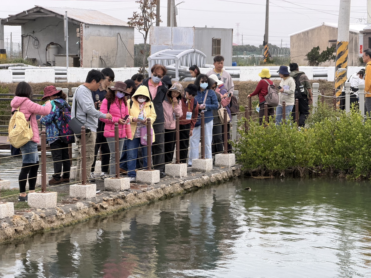 走訪「住海邊新手村」 走讀高雄新港共學食魚永續理念 走訪「住海邊新手村」 走讀高雄新港共學食魚永續理念