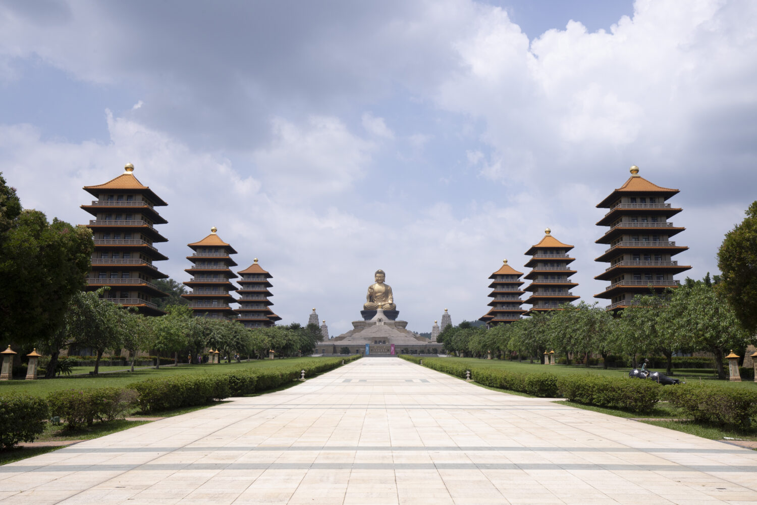 六龜最浪漫的季節 賞花祈福必遊！ 浪漫「粉紅雨」花旗木盛開