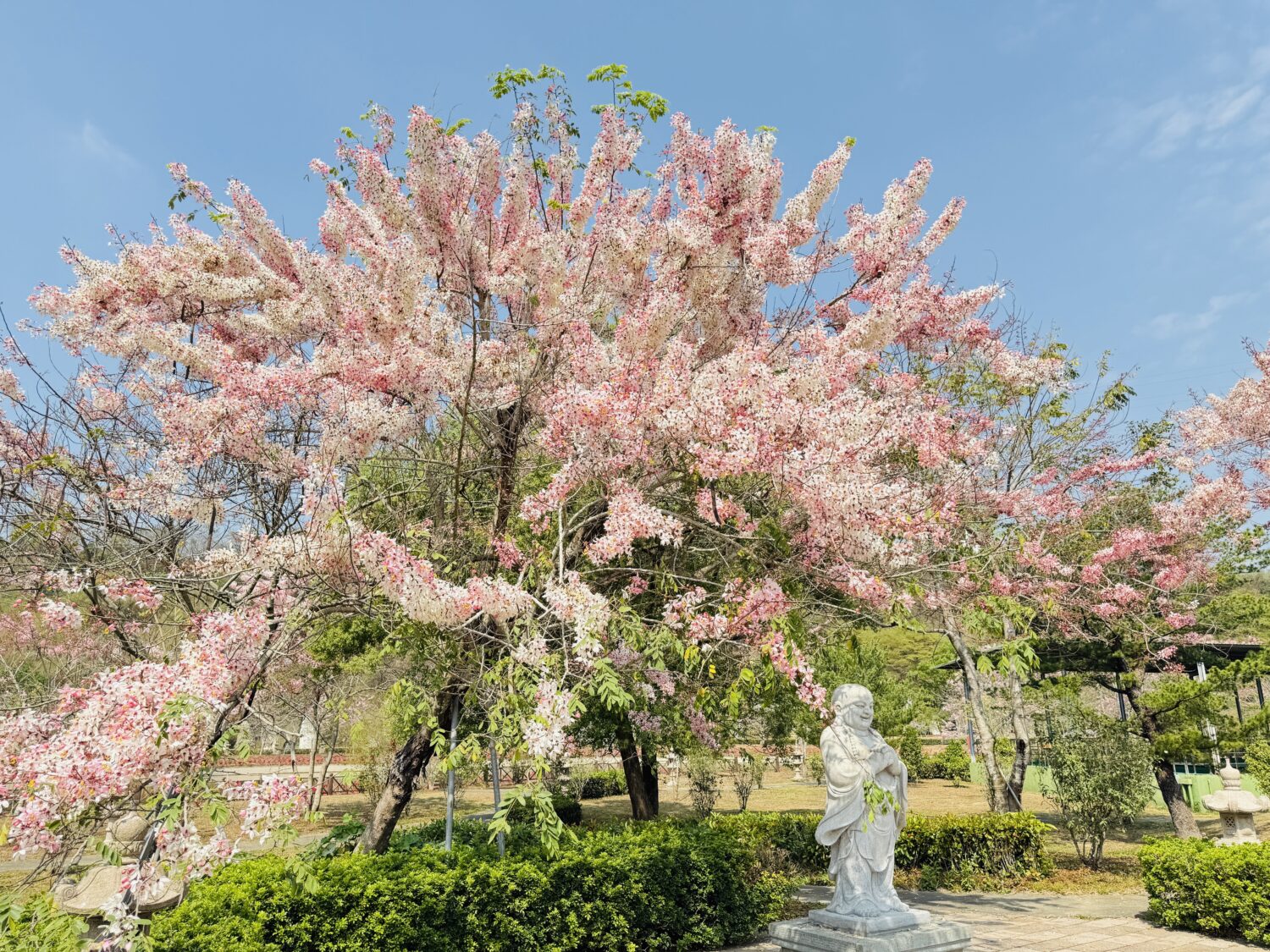 減碳護地球 臺灣港務公司響應2026 Earth Hour! 減碳護地球 臺灣港務公司響應2026 Earth Hour!